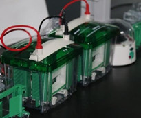 實(shí)驗(yàn)交給威斯騰，科研從此無憂——腺病毒實(shí)驗(yàn)技術(shù)服務(wù)詳解